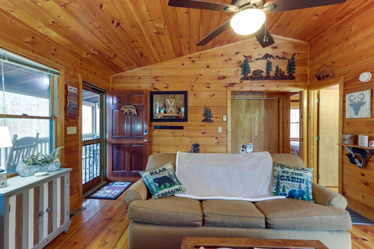 Blue Ridge Cozy Cabin In The Woods With Hot Tub! Zewnętrze zdjęcie